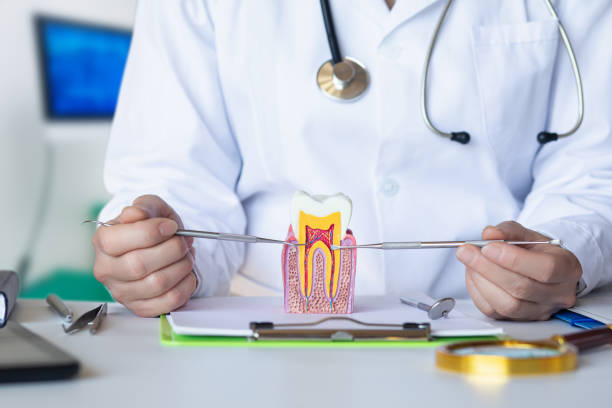 Best 24-Hour Emergency Dentist in Vandercook Lake, MI